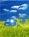 green environment graphic